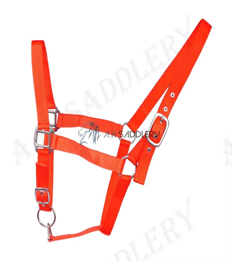 Premium Nylon Horse Halters for Training and Showmanship | Adjustable and Durable