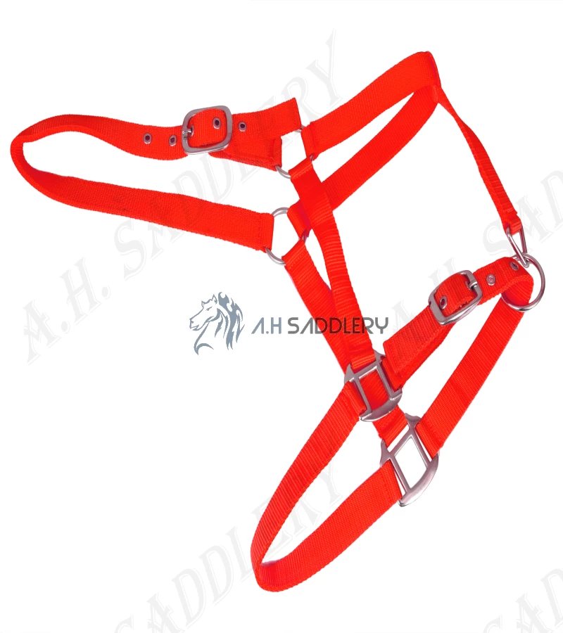 Premium Nylon Horse Halters for Training and Showmanship | Adjustable and Durable