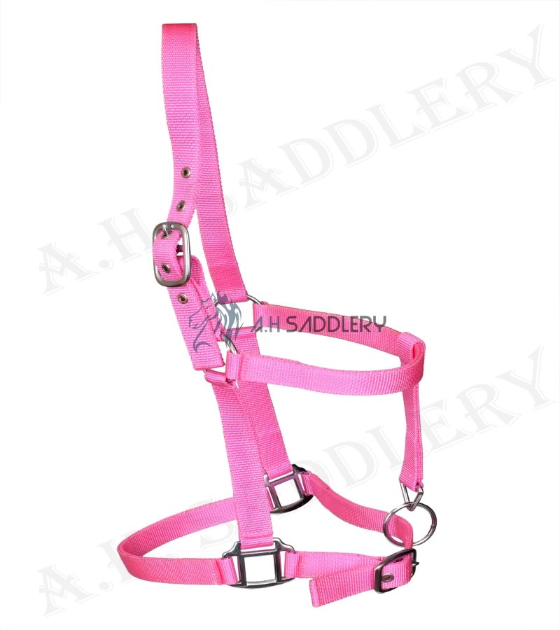 Premium Nylon Horse Halters for Training and Showmanship | Adjustable and Durable