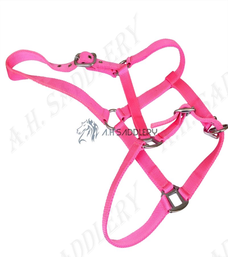 Premium Nylon Horse Halters for Training and Showmanship | Adjustable and Durable